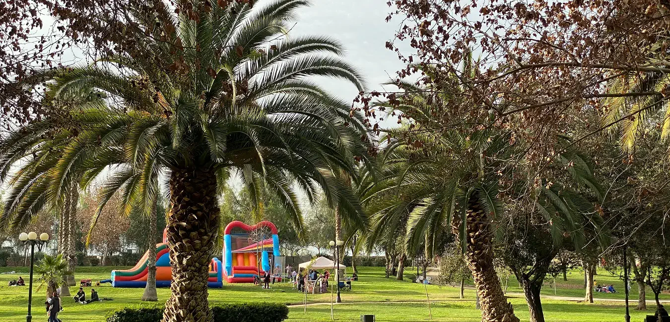 Elite Earthworks park in southern California
